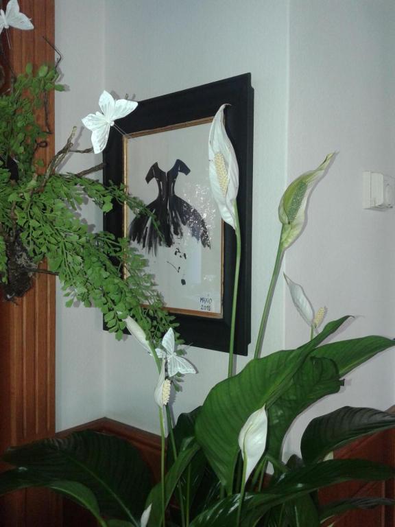 Balneum Boutique Hotel&b&b